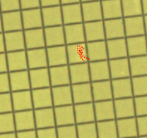 晶圆发白2.png